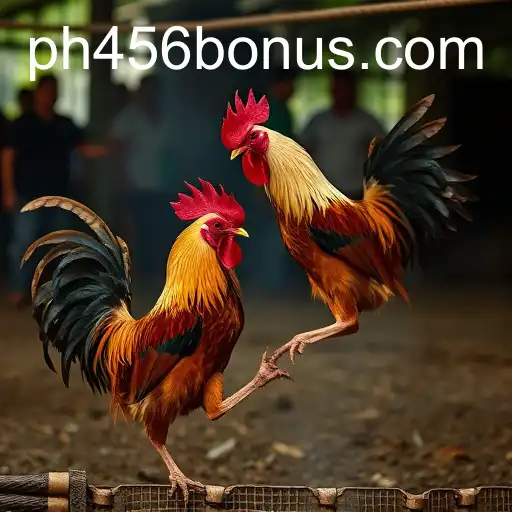 Exploring the Revival of Online Sabong with PH456.COM